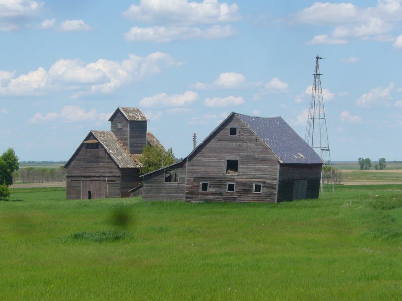 Farm
