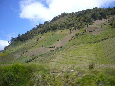 Terracing