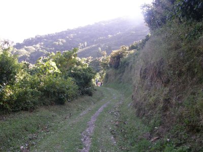 Path at Finca Lerida