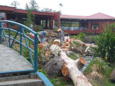 Hotel Dos Rios and Fallen Trees