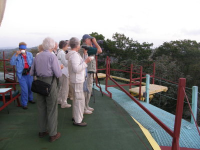 Group on Roof