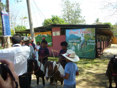 Ponies at the Fair