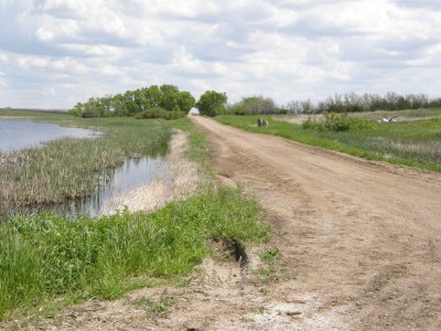 Omnipresent Gravel Road