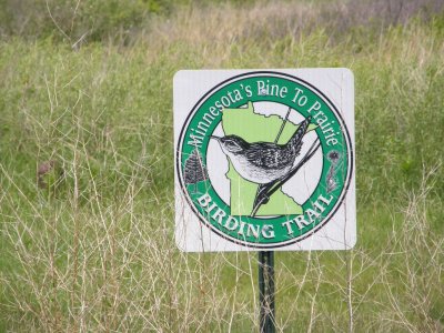 Birding t rail