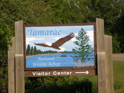 Tamarac NWR