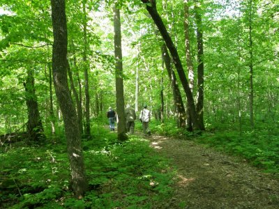 Birding at Tamarac