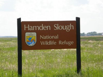 Hamden Slough