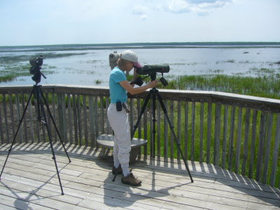 Lunch and Birding at Rice Lake