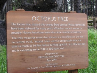 Octopus Tree Sign