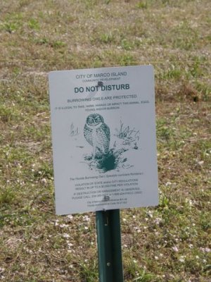 Owl sign at Marco Island