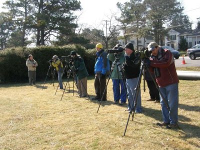 Wyncote Audubon at Silver Lake