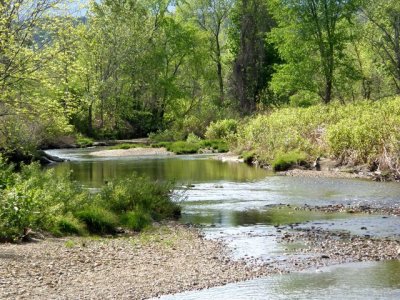 Stream at Stowe