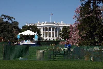 The White House (preparing for Easter Egg Roll)