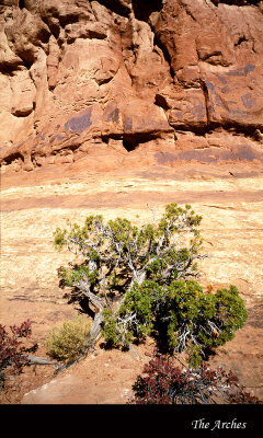 Arches035 copy.jpg