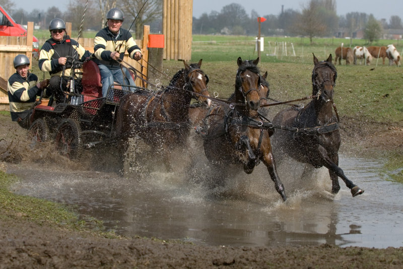 Jacco van t Westende