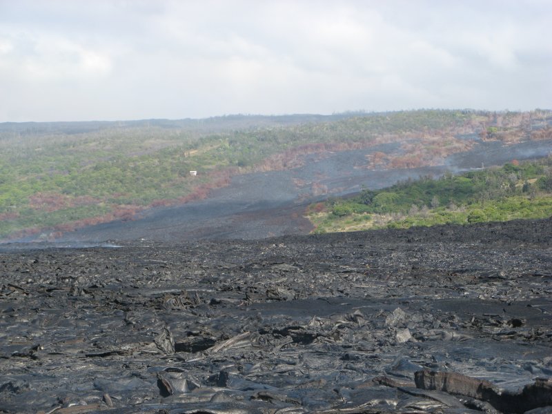 Tree isl w/i subdivision, smoking lava