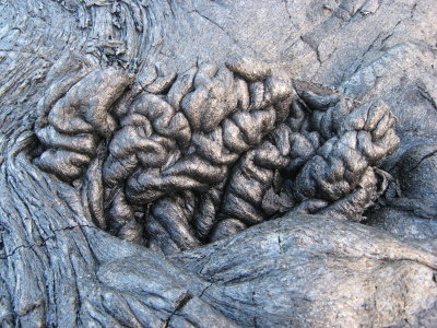 Guts! Or is it brains?