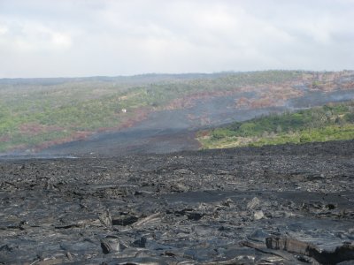 Tree isl w/i subdivision, smoking lava