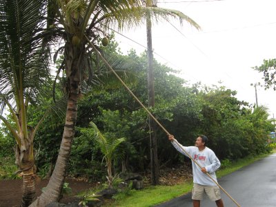 Imua using his coconut hook