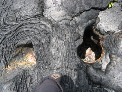 Tree molds from burned out trees