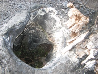 These were along/below the above tree island