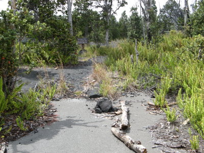 Funny to find chunks of road in backcountry