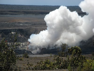 Wind change blew toxic gas to populous area, park closed