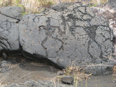 Most were simple little holes