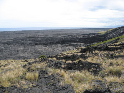 A'a and pahoehoe flows, alien grass takes over