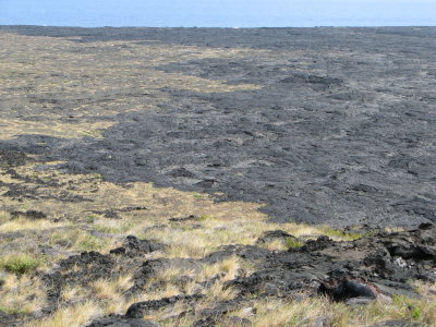 Mass acreage of terrain like this