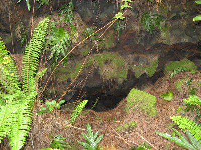 The entrance into the 'special' cave (see story)
