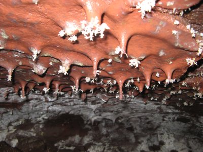 Lava-cicles, iron colored, gypsum crystals?