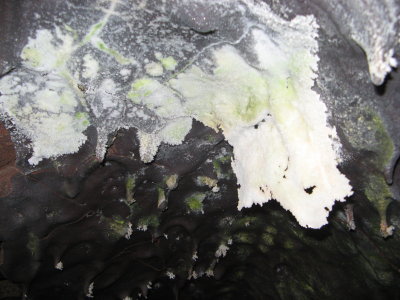 From Kazumura Cave, Harry said gypsum crystals