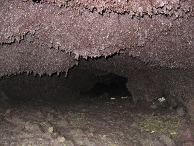 Different kinds of lava-cicles
