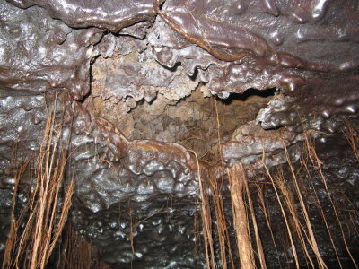 Magnesium ferrite coating