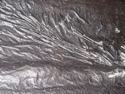 Close-up of rare magnesim ferrite coating slip