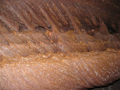 Fins on eddy lobes. These are all rare features