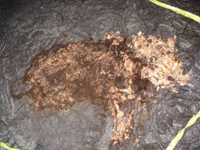 Another destructive alien trapped in cave. Oink