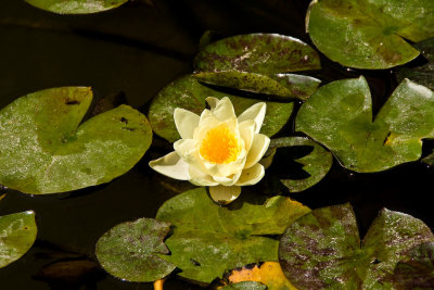 DSC02517-94.jpg