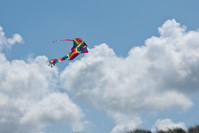 20090720_walcheren_0044.jpg