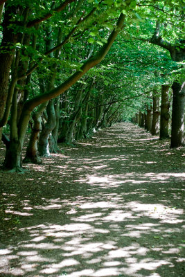 20090720_walcheren_0047.jpg
