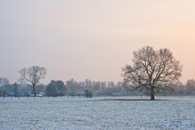 20101127_Haren-5.jpg