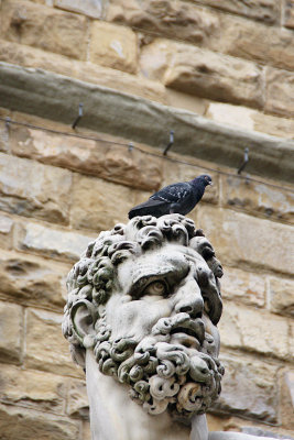 Bandinelli's Hercules with dove