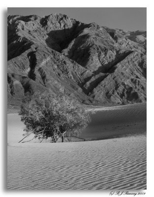 Death Valley Sunset