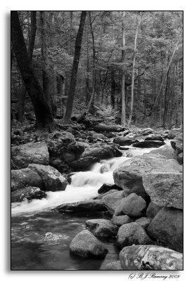 Shenandoah NP