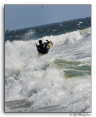 Malibu Kite Surfing