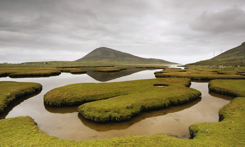grass islands