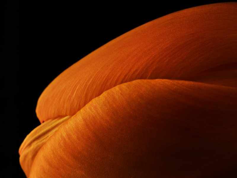 orange shapes