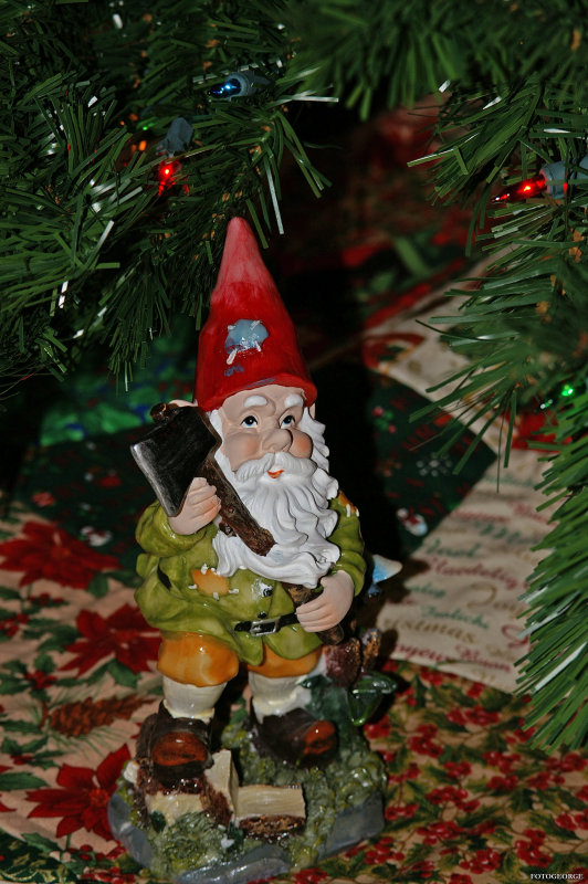 PICT0019.jpg