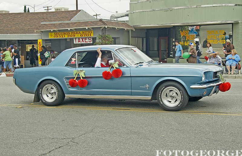 FordMustang_DSC2293.jpg